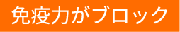 メカニズム3 免疫力がブロック