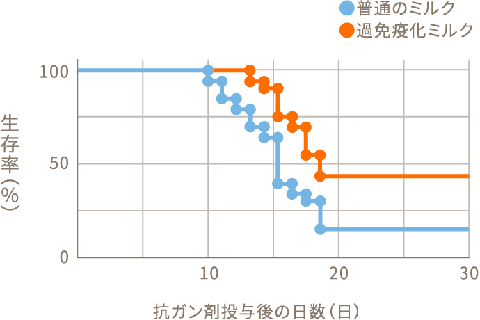 抗ガン剤（5-FU）投与後のマウスの生存率