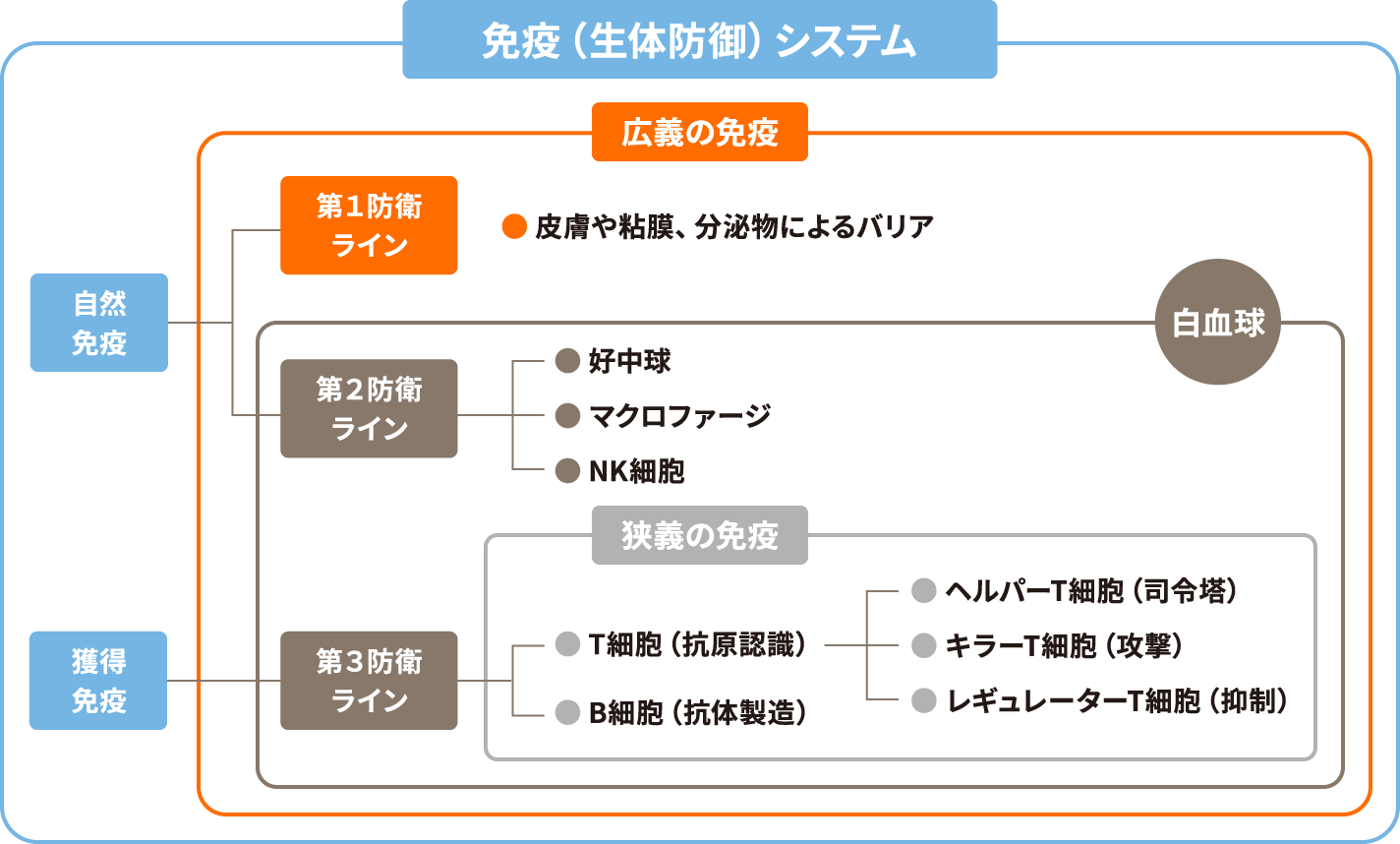 免疫（生体防御）の仕組み