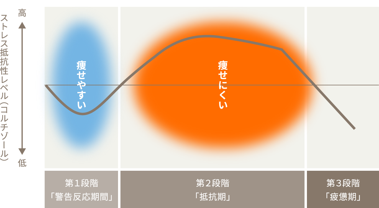 ストレスの3段階